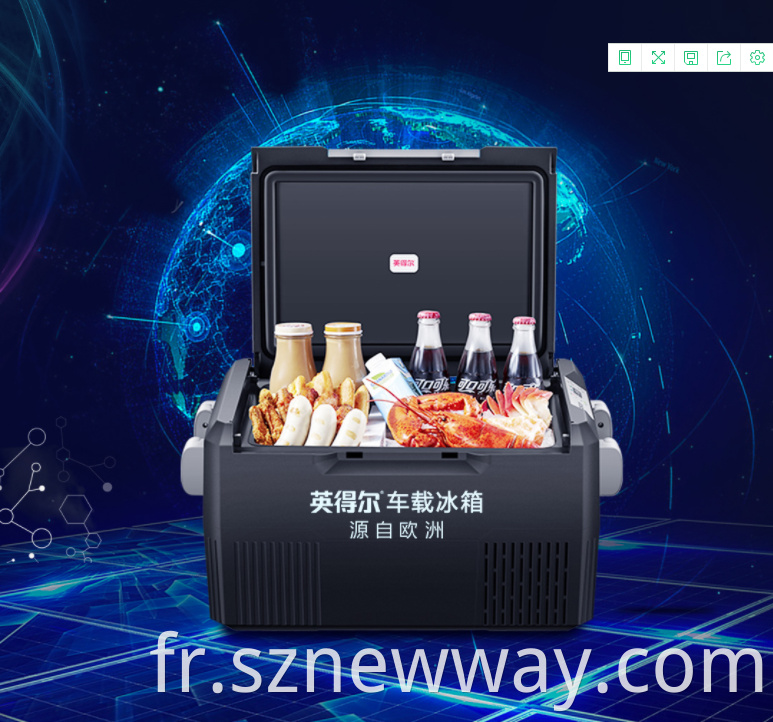 Indelb Portable Mini Car Refrigerator